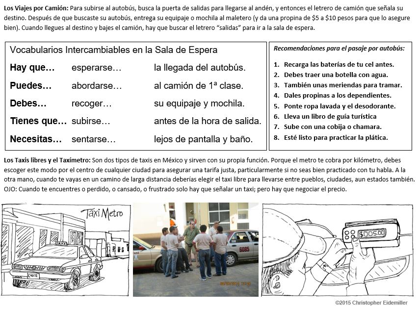 Practice Activity Taxis and Buses